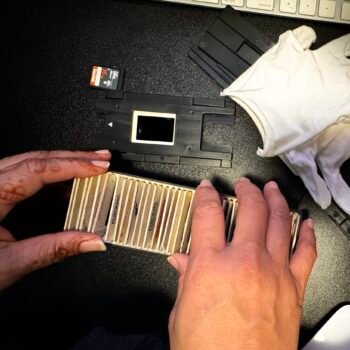 digitization scaled digitization scaled