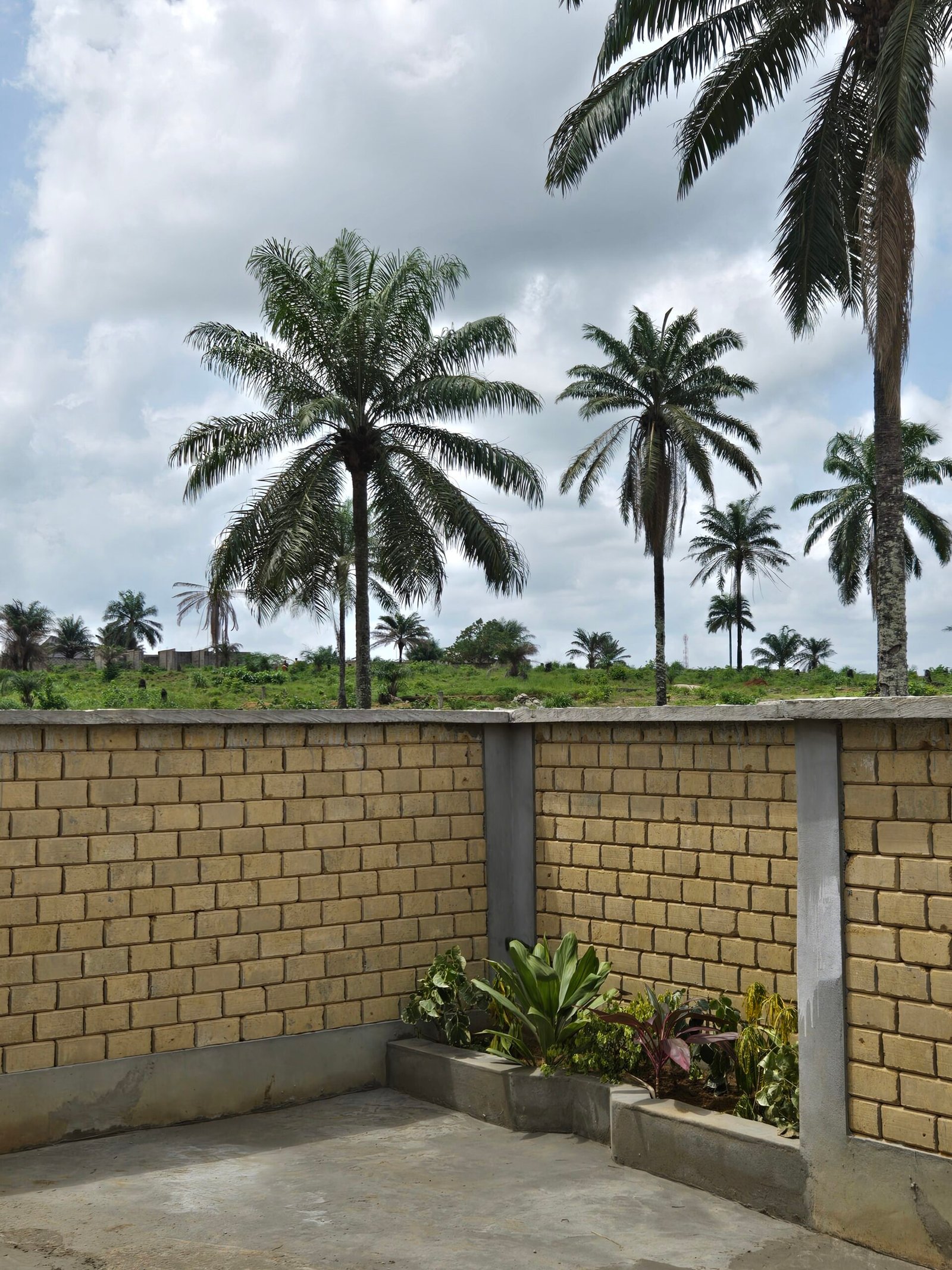 Ye-Ruqor compound wall with palm trees and plants