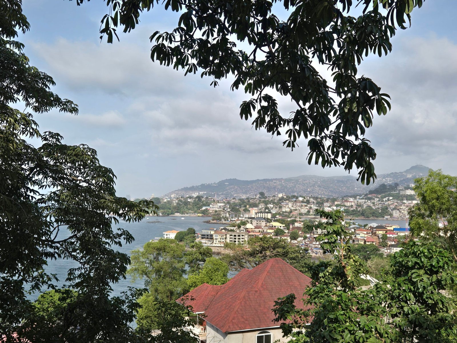 Freetown Sierra Leone panoramic view through the trees